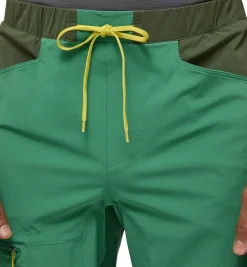 ROC Lite Standard Shorts Men