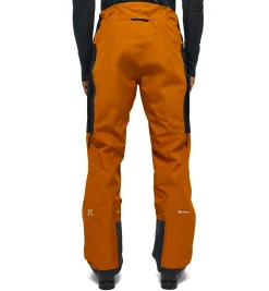 Vassi GTX Pant Men